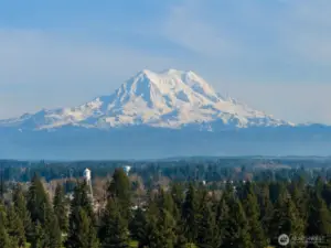 Mount Rainier views from neighborhood