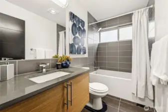 Lower-Level Full Bathroom