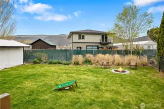 Long grass growing along the fence line to add privacy