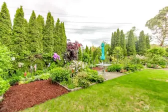 Park like setting backyard