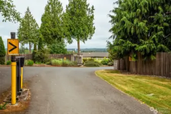 This is the gated entry to the community. The subject property's East boundary is that area from the tree in the center of the photo and left to beyond the edge of the photo