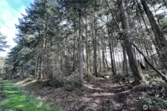 Beginning of driveway into property