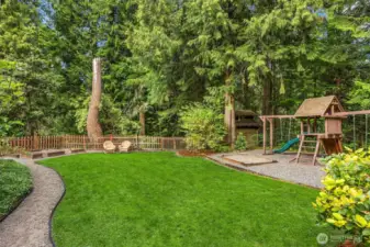 Expansive backyard.