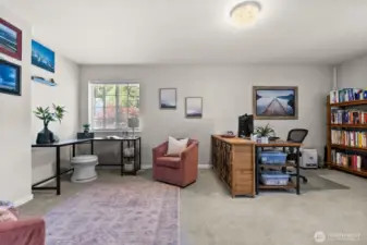 Bedroom 5/Bonus Room