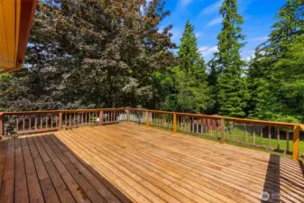 Huge back deck overlooking back yards and woods