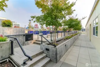 Directly out from the third floor - beautiful shared rooftop patio with views of the Space Needle and additional space to entertain guests.