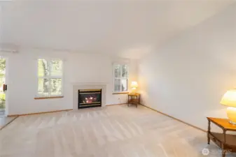 Gas fireplace