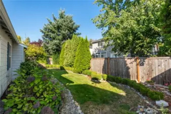 Private back yard