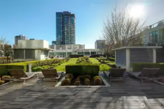 Manicured gardens & grounds off the gym, indoor pool & BBQ area located on the 7th floor.