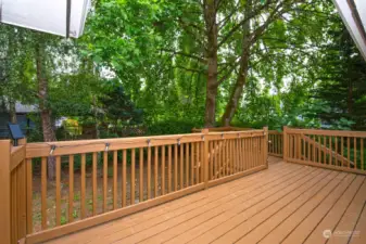 Spacious back deck