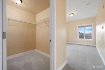 Spacious Primary Walk-in closet.