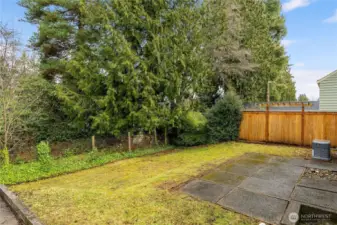 Large back yard with patio