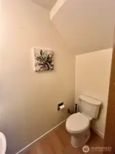 Guest bathroom