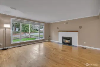 Gas fireplace and built in speakers for your entertainment