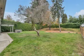 Large yard