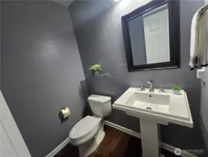 1/2 Bathroom is stunning!