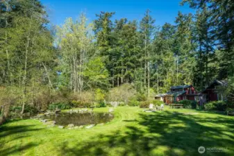 The pond is a hub of wildlife activity