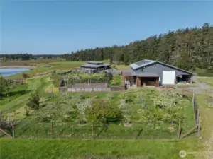 A closer look at the orchard with blueberry garden beyond.