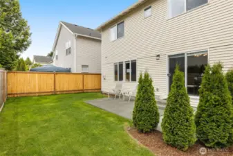 Lush large backyard for you summer get-togethers!