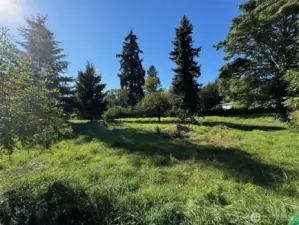 NE Corner of site facing southwest.