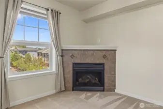 Corner Electric Fireplace