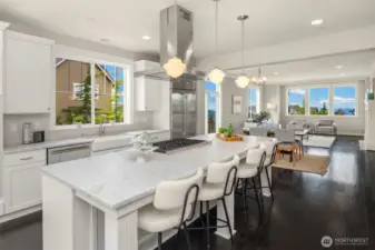 Chef's kitchen with Wolf and Subzero