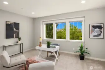 Lower level bedroom/office