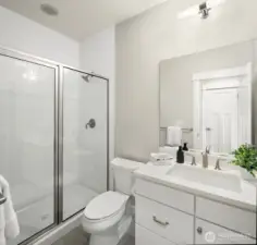 Lower level bathroom