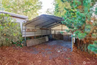 Covered storage area in backyard