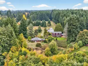 Budd Inlet Water Frontage Family Compound!  Two separate homes each with there own septic systems, shared well, detached garage/shop/office, green houses and fenced pasture land.