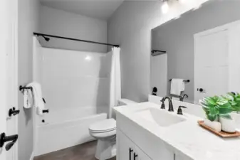 Guest bath on main floor