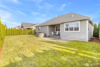 Large yard with lots of light