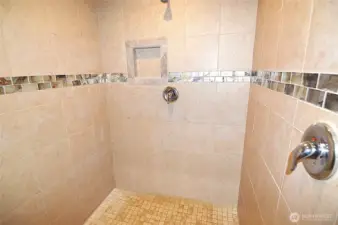 Large w/i shower of the main bathroom