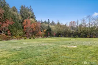 Enjoy the open space to play in, kick a ball, have a picnic.