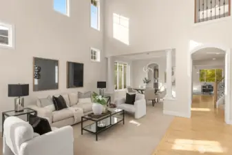Step into soaring 18 ft ceilings foyer living room.