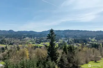 View from the kitchen, dining and family room.
