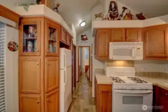Fridge and pantry/cabinets