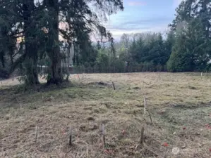 2025-12-13 Westerly facing Picture taken from 52nd Ave. S. at the approximate mid-point of the northerly .33 acres of that includes .60 acres total.