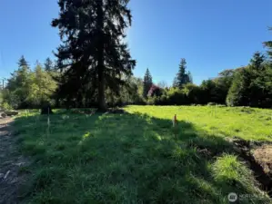 NE Corner of Site facing southeast.