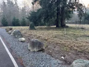 2025-12-13 Picture taken at NE Corner of northerly .33 Acres facing southerly.