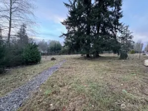 2025-12-13 Picture taken from SE Corner  of northerly .33 Acres facing Northwesterly through Northerly .33 acres of .60 total.