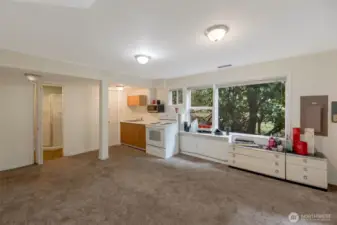 Separate living area on Lower Level