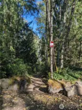 This is where the path start to Riffe.