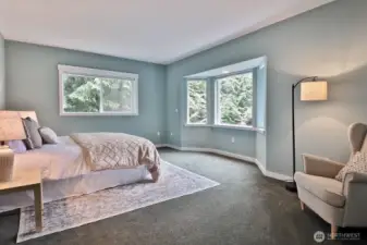 Main level spacious Primary bedroom. Plenty of space for an office or sitting area. Bay window maximizes your view of nature and those gorgeous sunsets. Walk-in closet and hall to your bathroom is just beyond the left edge of this photo.
