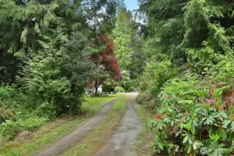 Your driveway is at the northern end of April Drive.  The cedars, rhododendrons and native plants greet you as you arrive. Spend some time outside and discover all the gardens that await you.