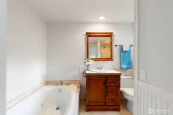 Master Bathroom w/ soaker tub
