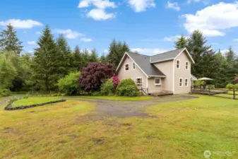 Mature landscaping around home