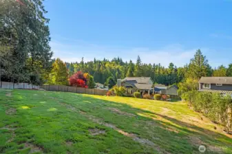 Expansive backyard with lush greenery and open space, bordered by mature trees and fencing for privacy. Perfect for outdoor activities, gardening, or simply enjoying peaceful scenic views.