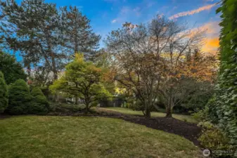 Large landscaped lot that is very private,