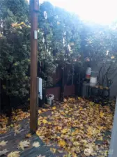 The private backyard area offers a cozy outdoor space surrounded by mature evergreens, creating a quiet and secluded spot to unwind. With room for seating, plants, or a small garden setup, it provides a charming extension of the living space year-round.